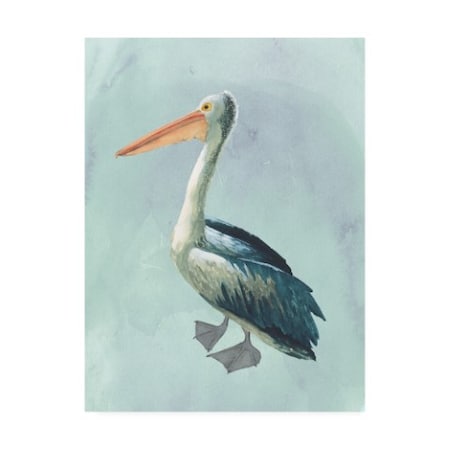 Grace Popp 'Watercolor Beach Bird Vi' Canvas Art,18x24